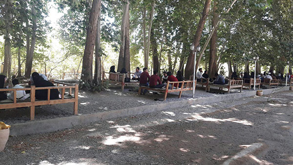 یزد فردا: روز ملی فیزیوتراپی مهریز یزد 