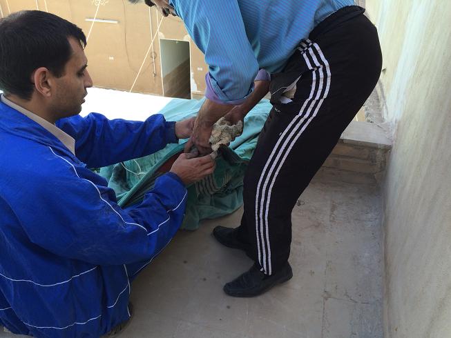 علیرضا پویافر  گزارش تصویری: برافراشتن پوشش امام حسینی خانه مرتاضیه بیش از پنجاه سال