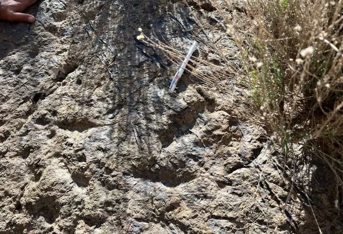 ردپای ۲۰۰ میلیون ساله دایناسور‌ها در زرند