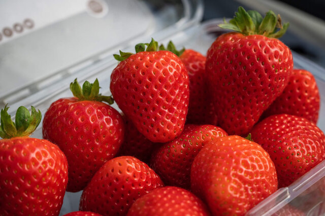 چند خوردنی مفید برای سلامت پوست