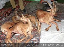 شکارچیان 4 "کل وحشی" دستگیر شدند/سردار "ایرج کاکاوند" در جلسه هماهنگی پلیس و دانشگاه:رویکرد پلیس در برخورد با جرایم، رویکردی مبتنی بر علم و دانش است شکارچیان 4 "کل وحشی" دستگیر شدند/سردار "ایرج کاکاوند" در جلسه هماهنگی پلیس و دانشگاه:رویکرد پلیس در برخورد با جرایم، رویکردی مبتنی بر علم و دانش است