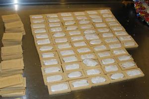 بیسکوییت وانیلی که کوکایین داخلش 60 هزار دلار ارزش داشت(عکس)