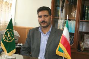 امسال دراستان یزد حدود 85 هزار تن گندم برداشت می شود امسال دراستان یزد حدود 85 هزار تن گندم برداشت می شود